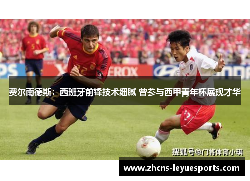 费尔南德斯：西班牙前锋技术细腻 曾参与西甲青年杯展现才华