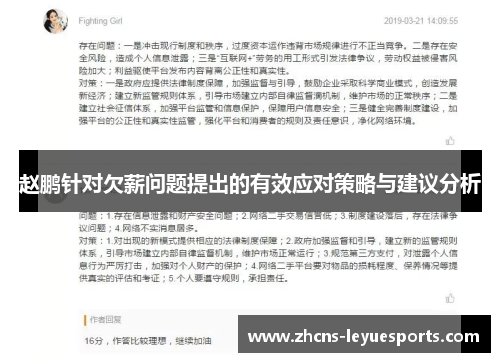 赵鹏针对欠薪问题提出的有效应对策略与建议分析 赵鹏针对欠薪问题提出的有效应对策略与建议分析